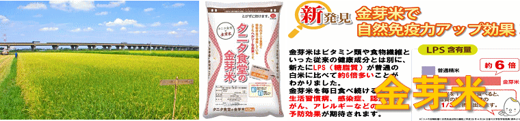 タニタの金芽米　金芽米の特徴・栄養は？
